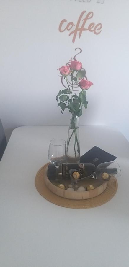 Apartma Matjaz Koper városi község Kültér fotó
